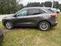 Ford Kuga Titanium, Aut., Winter Paket, Rückfahrkamera Grau - thumbnail 5