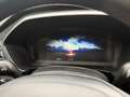 Ford Kuga Titanium, Aut., Winter Paket, Rückfahrkamera Grau - thumbnail 12