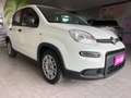 Fiat Panda Panda 2021 1.0 hybrid SENZA OBBLIGO FINANZIAMENTO Wit - thumbnail 4