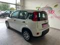 Fiat Panda Panda 2021 1.0 hybrid SENZA OBBLIGO FINANZIAMENTO Wit - thumbnail 2