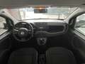 Fiat Panda Panda 2021 1.0 hybrid SENZA OBBLIGO FINANZIAMENTO Wit - thumbnail 7