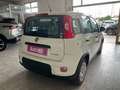 Fiat Panda Panda 2021 1.0 hybrid SENZA OBBLIGO FINANZIAMENTO Wit - thumbnail 3