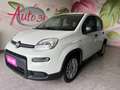 Fiat Panda Panda 2021 1.0 hybrid SENZA OBBLIGO FINANZIAMENTO Wit - thumbnail 1