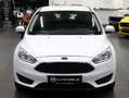 Ford Focus 1,0 EcoBoost  Trend Weiß - thumbnail 3