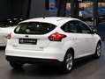Ford Focus 1,0 EcoBoost  Trend Weiß - thumbnail 5
