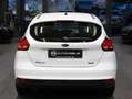 Ford Focus 1,0 EcoBoost  Trend Weiß - thumbnail 6