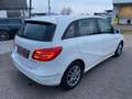 Mercedes-Benz B 180 B B 180 CDI / d Blanc - thumbnail 7