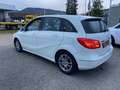 Mercedes-Benz B 180 B B 180 CDI / d Blanc - thumbnail 11