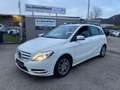 Mercedes-Benz B 180 B B 180 CDI / d Blanc - thumbnail 1