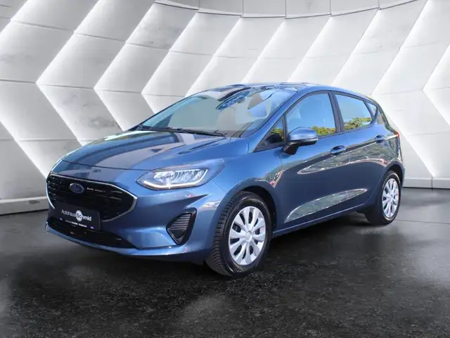 Ford Fiesta Cool & Connect Winter Paket