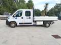 Fiat DUCATO  33 2.3 MJT 120CV PM DOPPIA CABINA Bianco - thumbnail 6