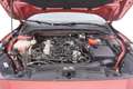 Ford Focus Hybrid ST-Line 1.0 Mild Hybrid 125CV Rosso - thumbnail 13