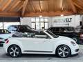 Volkswagen New Beetle Cabriolet 60´s Sport DSG Bílá - thumbnail 4