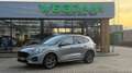 Ford Kuga 2.5 PHEV ST-LINE X / Trekhaak+Driver+Techno+Winter Gris - thumbnail 1