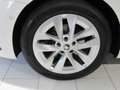 Skoda Octavia Combi (NX5) First Edition Weiß - thumbnail 31