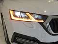 Skoda Octavia Combi (NX5) First Edition Weiß - thumbnail 10