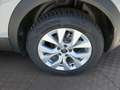 Renault Captur CAPTUR Techno TCe 90 Grau - thumbnail 13