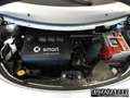 smart forFour SMART -  - 1.3 passion  95 cv Automatic + s Grigio - thumbnail 7