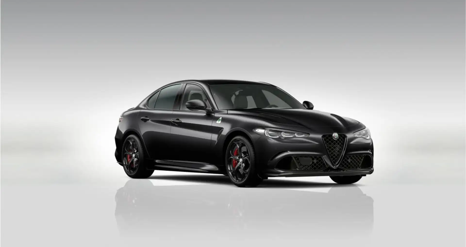 Alfa Romeo Giulia Quadrifoglio 🚗 📌Abholung Mannheim❗️ 2.9 V6 Bi-Tu Schwarz - 1