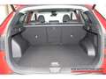 Hyundai TUCSON Prime 1.6 T-GDi 7-DCT 2WD Assist.-P., AHK Rot - thumbnail 11