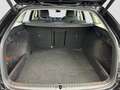 Skoda Octavia 1.5TSI DSG Selection AHK-Vor LED PDC Nav Schwarz - thumbnail 12