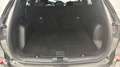 Ford Kuga 2.5 Duratec 190ch FHEV E85 Titanium BVA - thumbnail 14