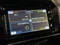 Suzuki Vitara 1.6 VVT 4x4 Panorama LED Kamera Navi 1.Besitz Weiß - thumbnail 13