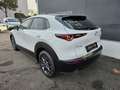 Mazda CX-30 e-Skyactive G140 Prime-Line Weiß - thumbnail 4