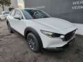 Mazda CX-30 e-Skyactive G140 Prime-Line Weiß - thumbnail 8