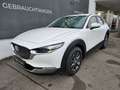 Mazda CX-30 e-Skyactive G140 Prime-Line Weiß - thumbnail 1