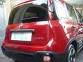 Fiat Panda Cross Pandina 1.0 FireFly Hybrid 5P Nuovo Modell Rosso - thumbnail 8