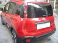 Fiat Panda Cross Pandina 1.0 FireFly Hybrid 5P Nuovo Modell Rosso - thumbnail 11