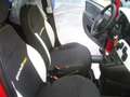 Fiat Panda Cross Pandina 1.0 FireFly Hybrid 5P Nuovo Modell Rosso - thumbnail 23
