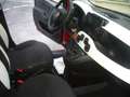Fiat Panda Cross Pandina 1.0 FireFly Hybrid 5P Nuovo Modell Rosso - thumbnail 22