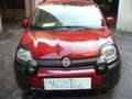 Fiat Panda Cross Pandina 1.0 FireFly Hybrid 5P Nuovo Modell Rosso - thumbnail 4