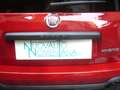 Fiat Panda Cross Pandina 1.0 FireFly Hybrid 5P Nuovo Modell Rosso - thumbnail 12