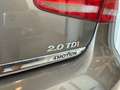 Volkswagen Passat 2.0 tdi 4motion 170cv dsg Bronzo - thumbnail 7