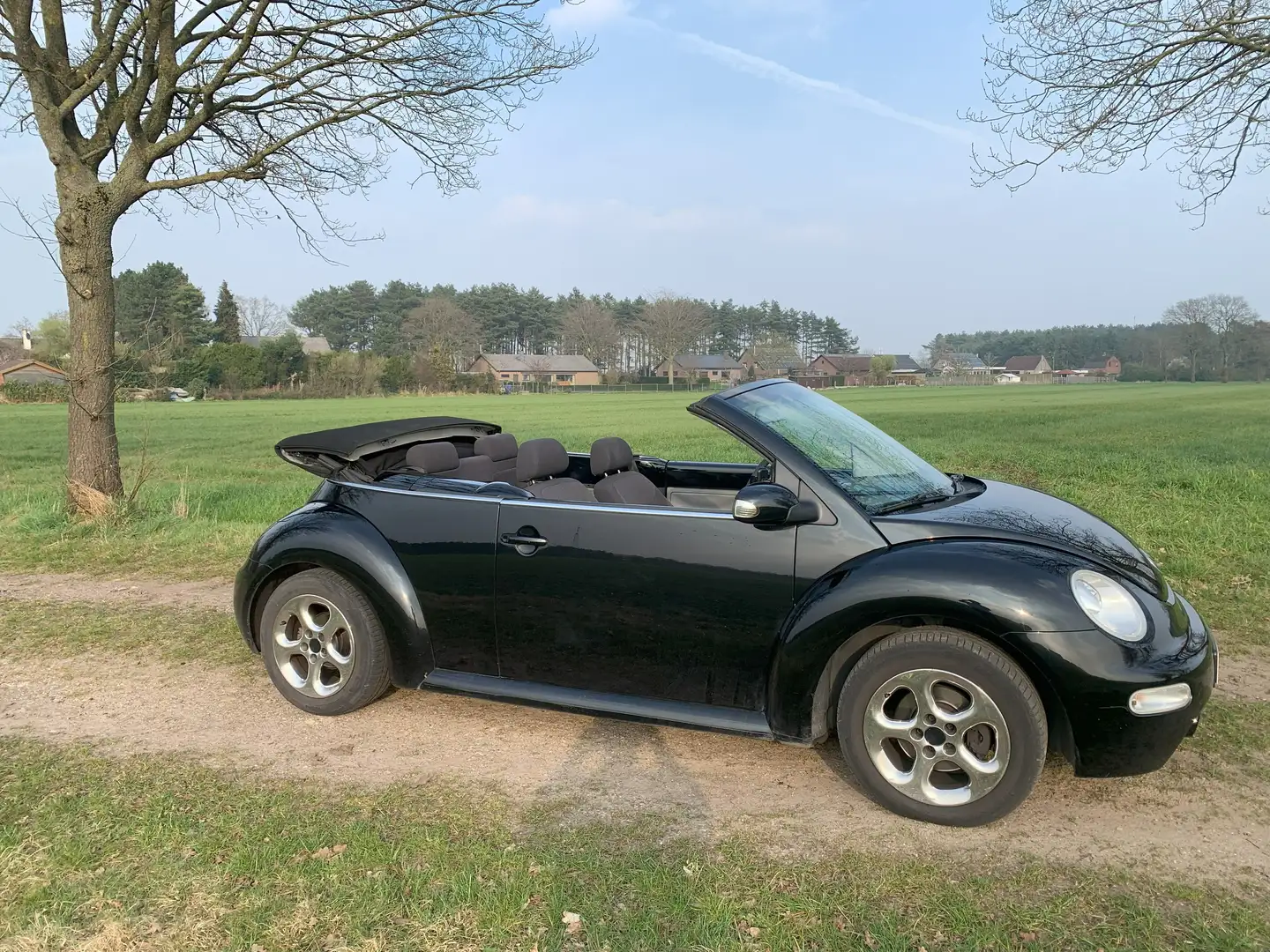 Volkswagen New Beetle New Beetle Cabriolet 1.4 Noir - 1