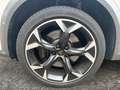 CUPRA Formentor VZ 4Drive 2.0 TSI Panorama BeatsAudio Full Link Weiß - thumbnail 20