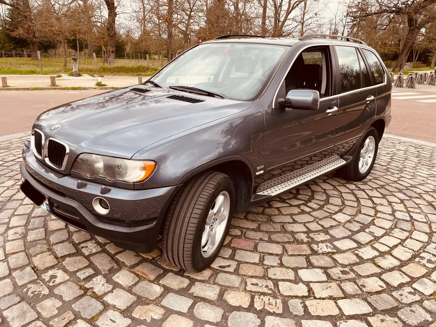 BMW X5 3.0i Pack Luxe A Gris - 1