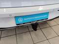 Volkswagen Golf VIII 1.5 TSI Style, AHK, HUD, ACC, Navi Weiß - thumbnail 20