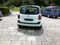 Renault Modus YAHOO! Klima Білий - thumbnail 2