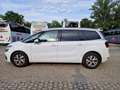 Citroen C4 SpaceTourer 1.5 bluehdi Shi s&s 130cv eat8 *PROBLEMA AL CAMBIO Alb - thumbnail 13