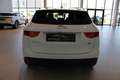 Jaguar F-Pace R-Sport AWD **Gepflegter Premium-SUV** Weiß - thumbnail 7