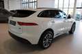 Jaguar F-Pace R-Sport AWD **Gepflegter Premium-SUV** Weiß - thumbnail 6