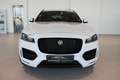 Jaguar F-Pace R-Sport AWD **Gepflegter Premium-SUV** Weiß - thumbnail 2