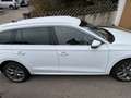 Skoda Octavia First Edition iV Weiß - thumbnail 7