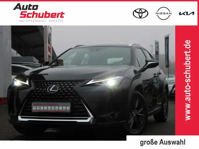 Lexus UX 250h LAUNCH+ALLWETTERREIFEN+NAVI+LED+APPLECAR+KAMERA+LE