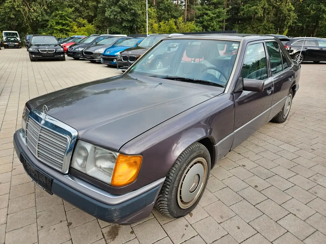 Mercedes-Benz 230 E, foto 2
