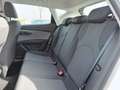 SEAT Leon 1.5 TGI 96KW STYLE DSG Blanc - thumbnail 10
